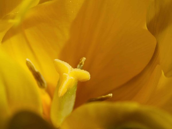 Quels sont les avantages de faire un séjour linguistique à Londres ?