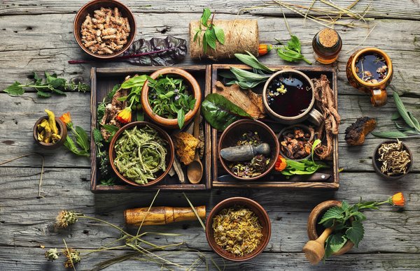 Les plantes qui vous aideront à mieux dormir