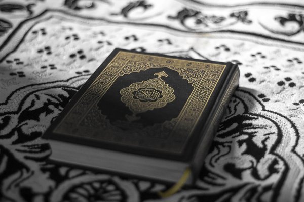 Quels sont les livres pour explorer les fondements et principes de la foi islamique ?