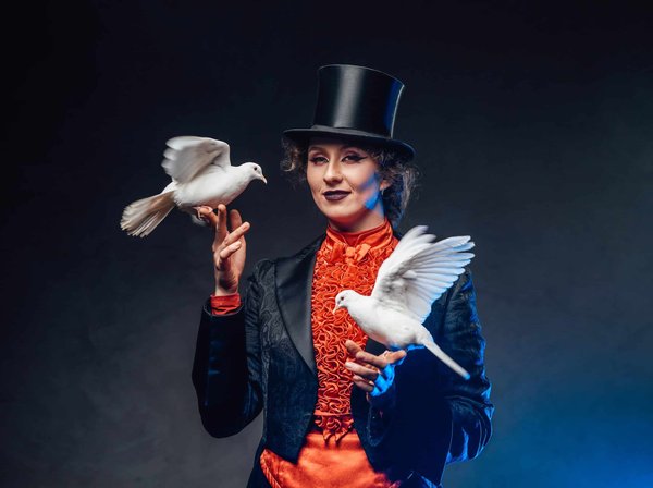 Les Prestations proposées par le Magicien maquillage et sculpteur de ballons