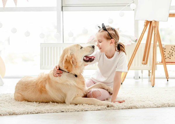 5 incontournables à vérifier dans votre assurance chien